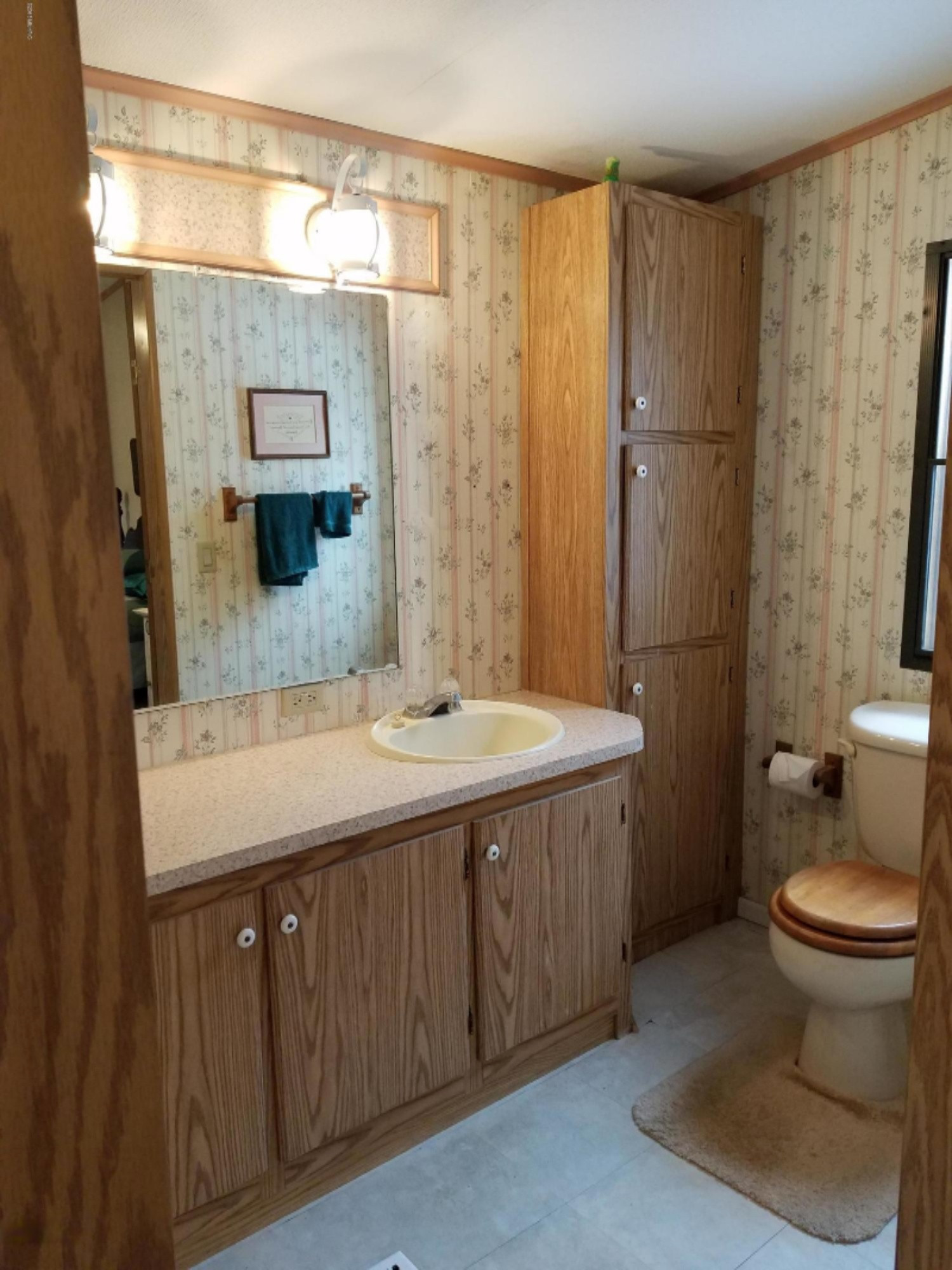 8500 Lammers Road Delton, MI 49046 - Photo 18 of 47 master bathroom