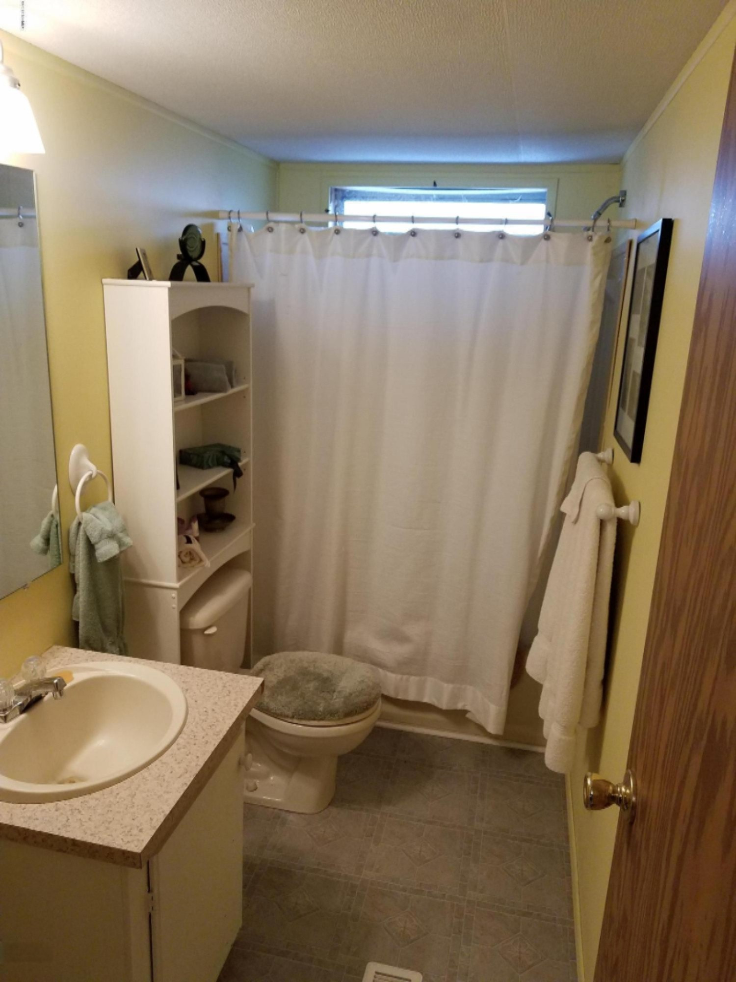 8500 Lammers Road Delton, MI 49046 - Photo 22 of 47 second bathroom