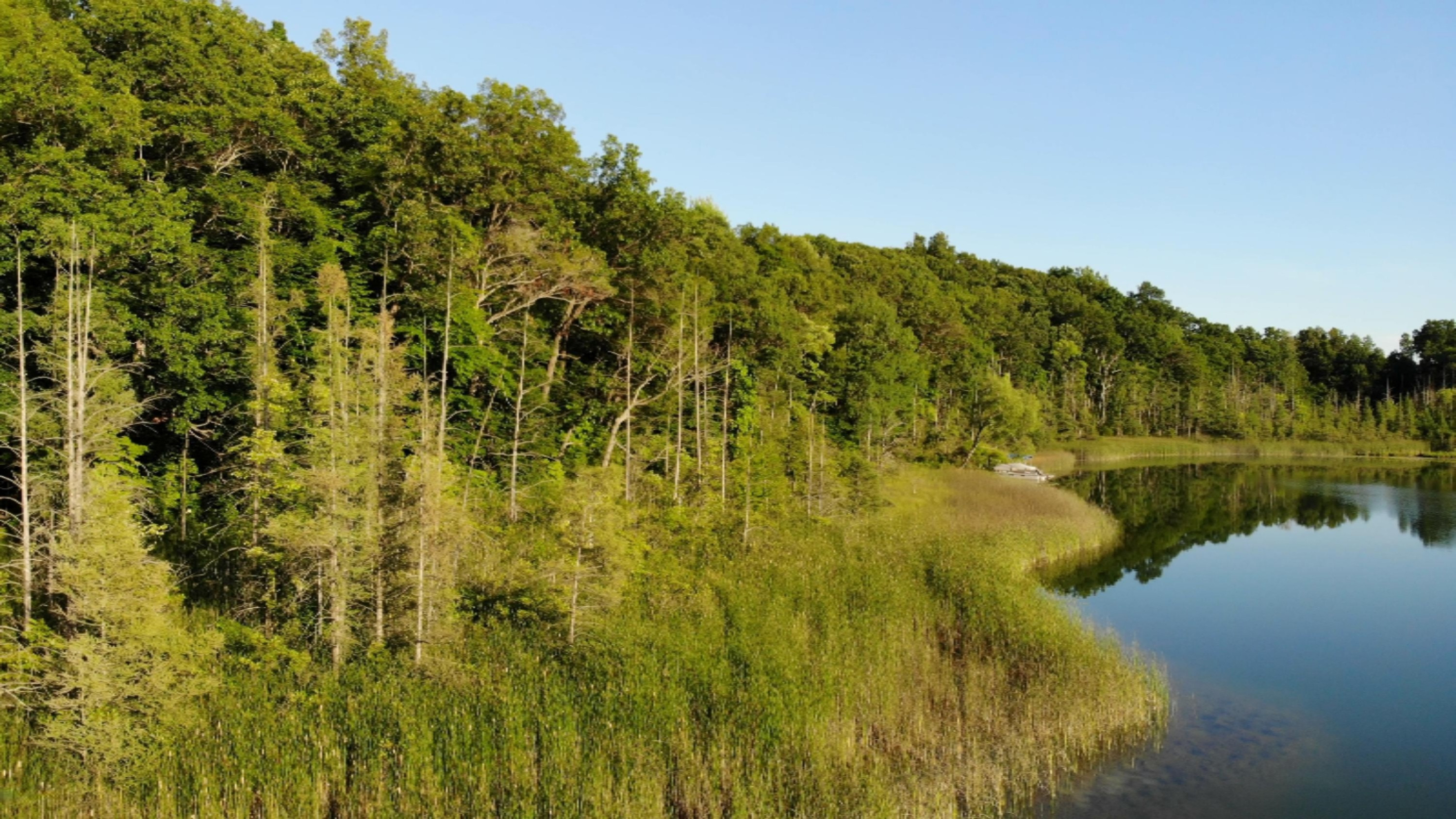 8500 Lammers Road Delton, MI 49046 - Photo 43 of 47 Lake 8500 S Lammers 013