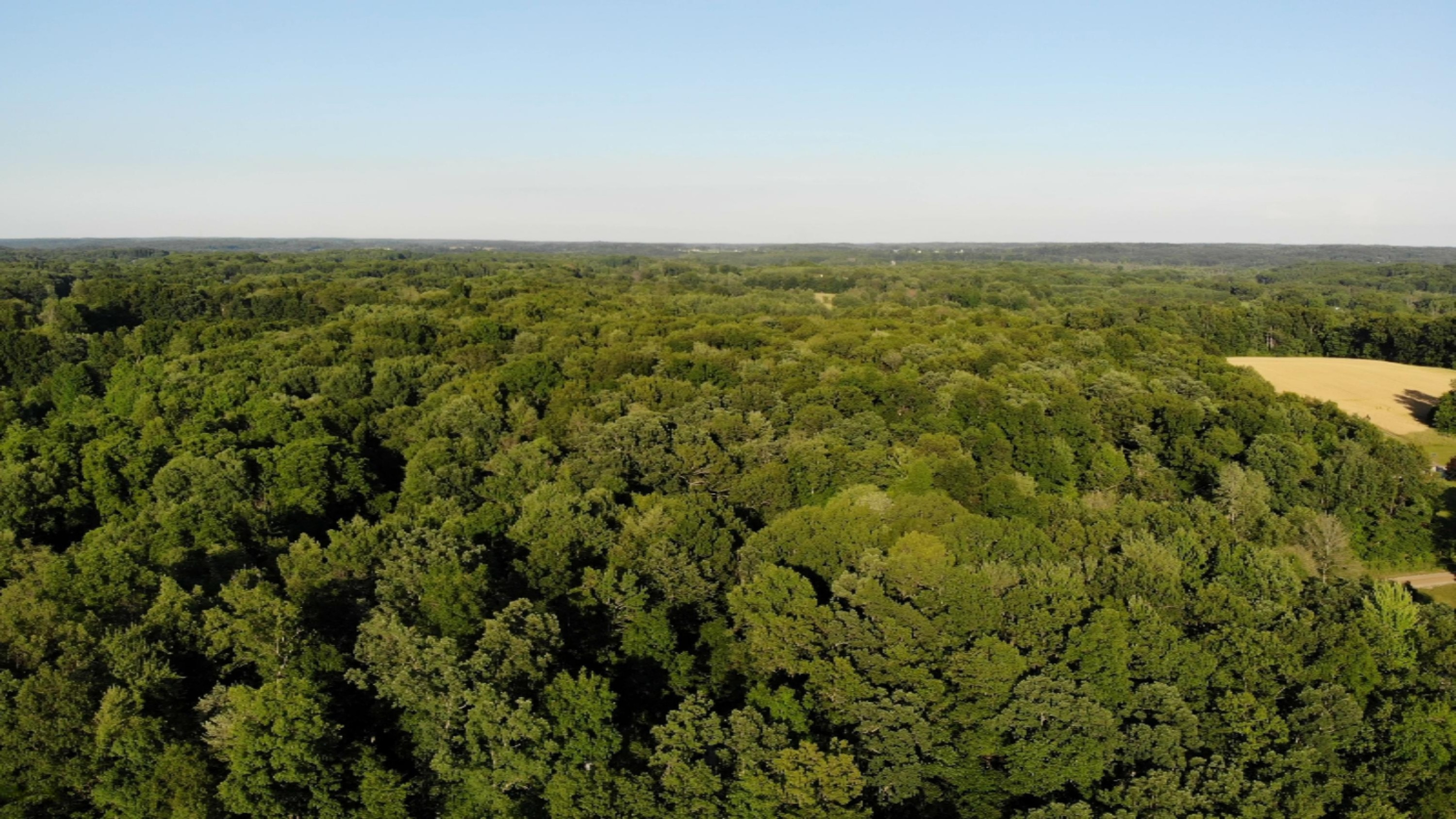 8500 Lammers Road Delton, MI 49046 - Photo 47 of 47 Lake 8500 S Lammers 017