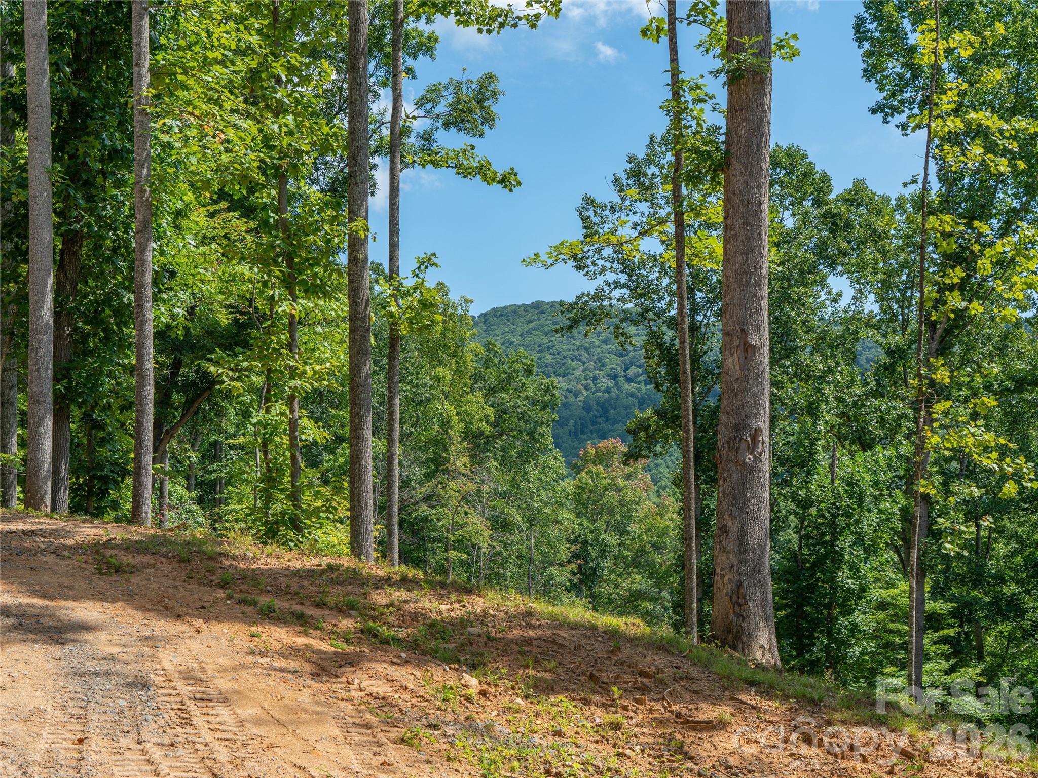 0 Locust Rough Mountain Road, Unit LOT 6 Burnsville, NC 28714 - Photo 16 of 26