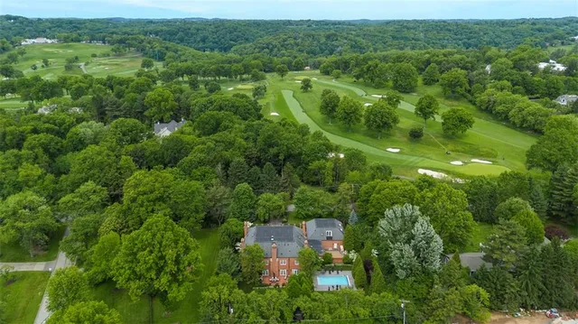 an aerial view of residential houses with outdoor space and trees