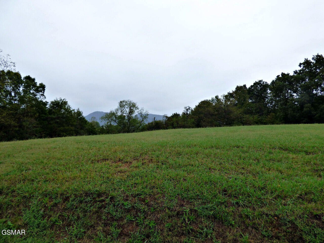 1 Indian Ridge Road Blaine, TN 37709 - Photo 6 of 6 Gallery Image 6