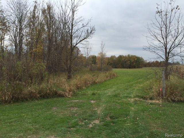 Parcel B Parcel B Handy Road Howell, MI 48855 - Photo 6 of 15