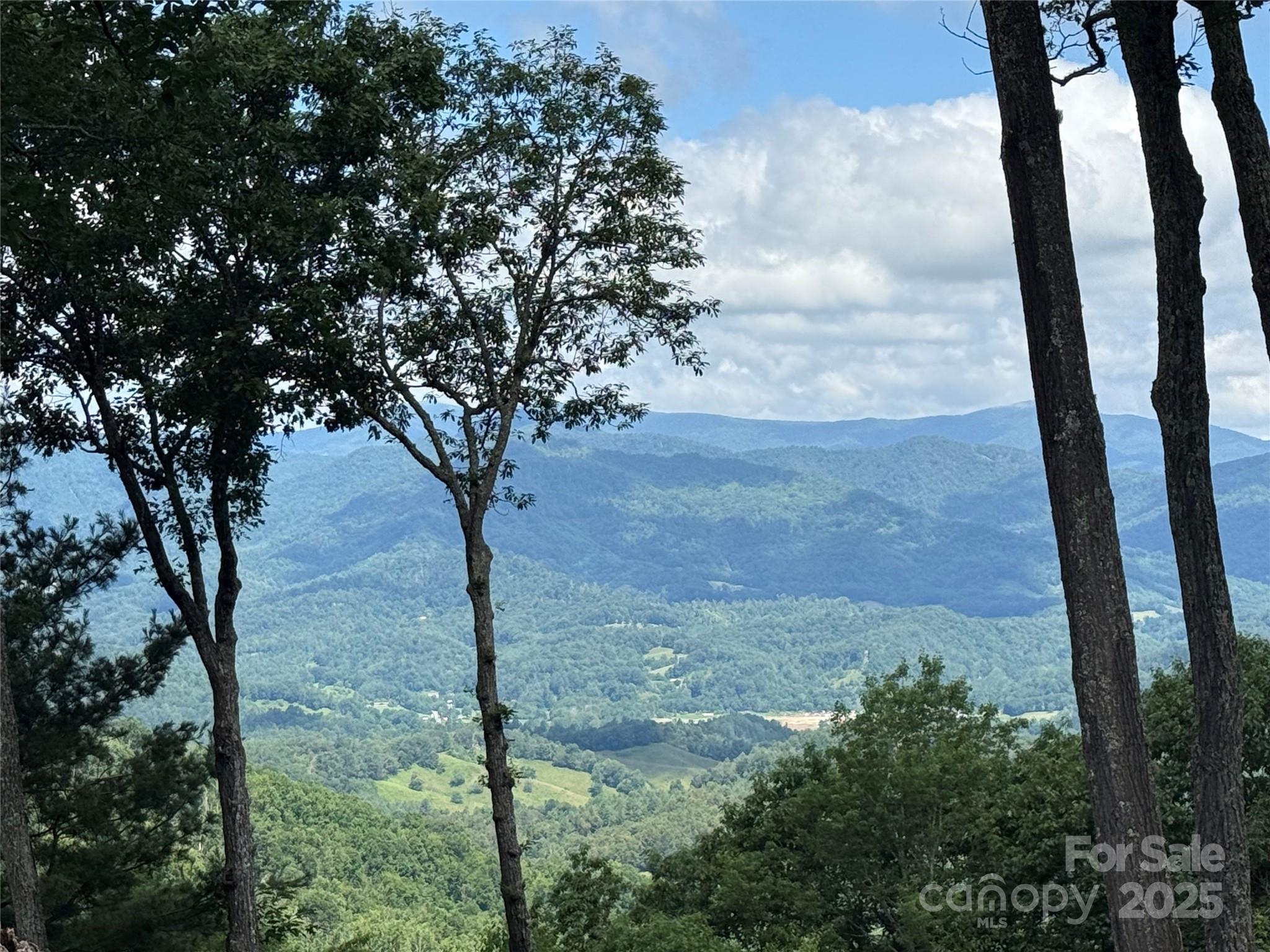 Lot 3 Heritage Ridge Road, Unit 3/4 Burnsville, NC 28714 - Photo 2 of 9 a view of an outdoor space