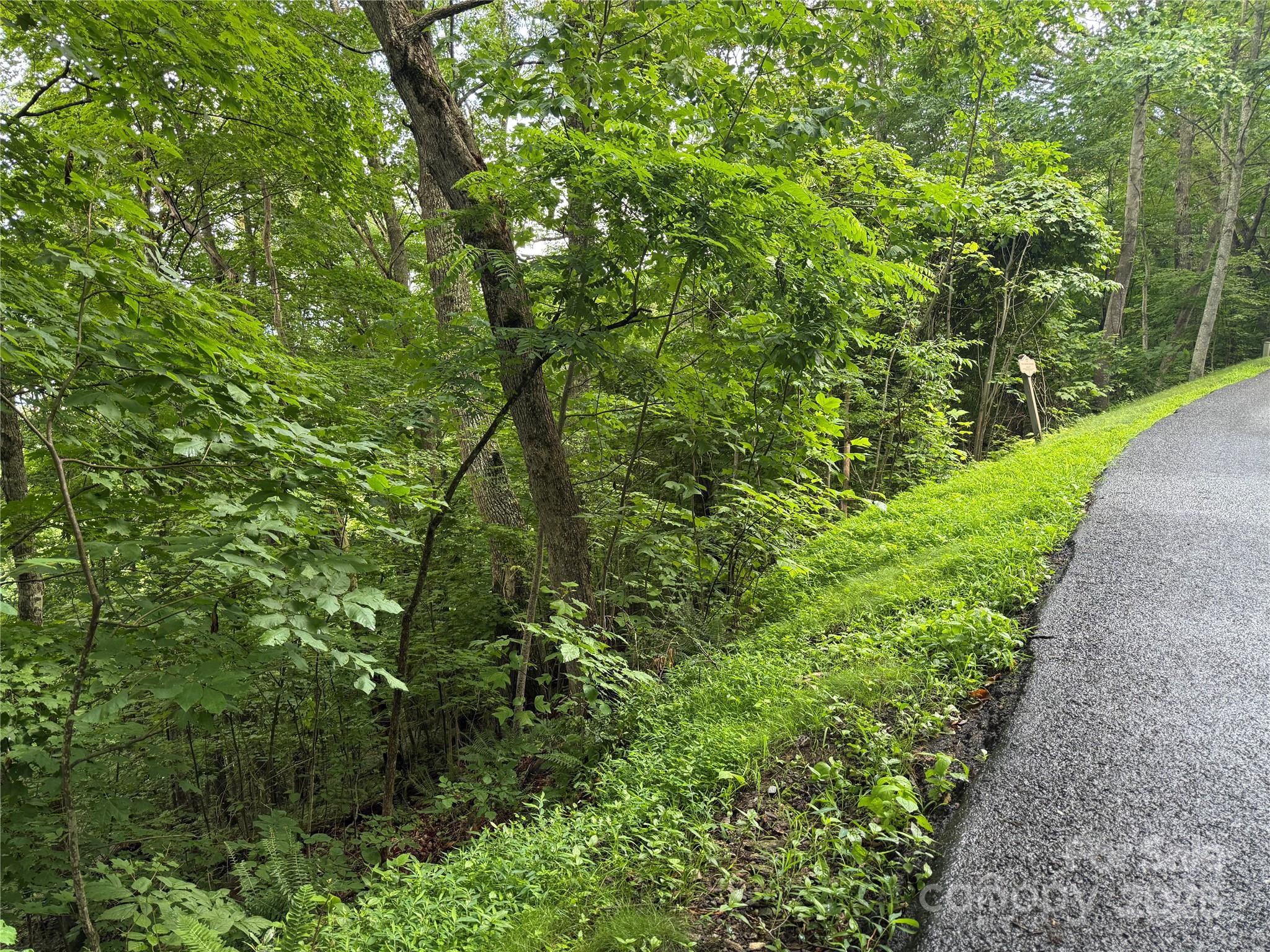 Lot 3 Heritage Ridge Road, Unit 3/4 Burnsville, NC 28714 - Photo 3 of 9 a view of a garden with plants
