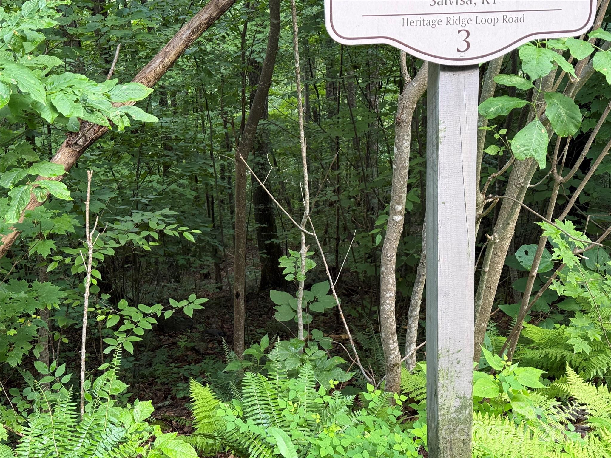 Lot 3 Heritage Ridge Road, Unit 3/4 Burnsville, NC 28714 - Photo 5 of 9 a view of a garden