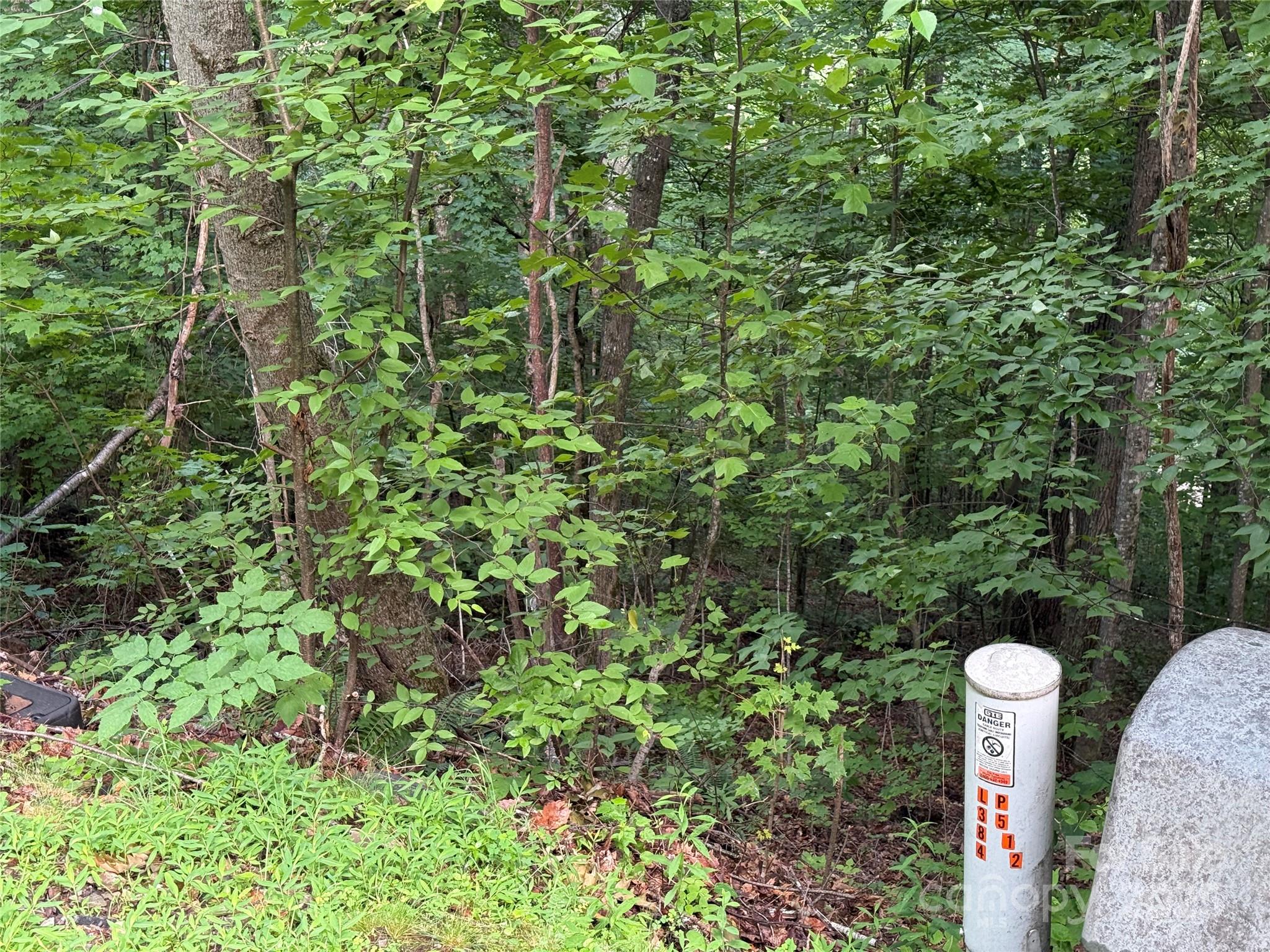 Lot 3 Heritage Ridge Road, Unit 3/4 Burnsville, NC 28714 - Photo 6 of 9 a close up of a plant in a garden
