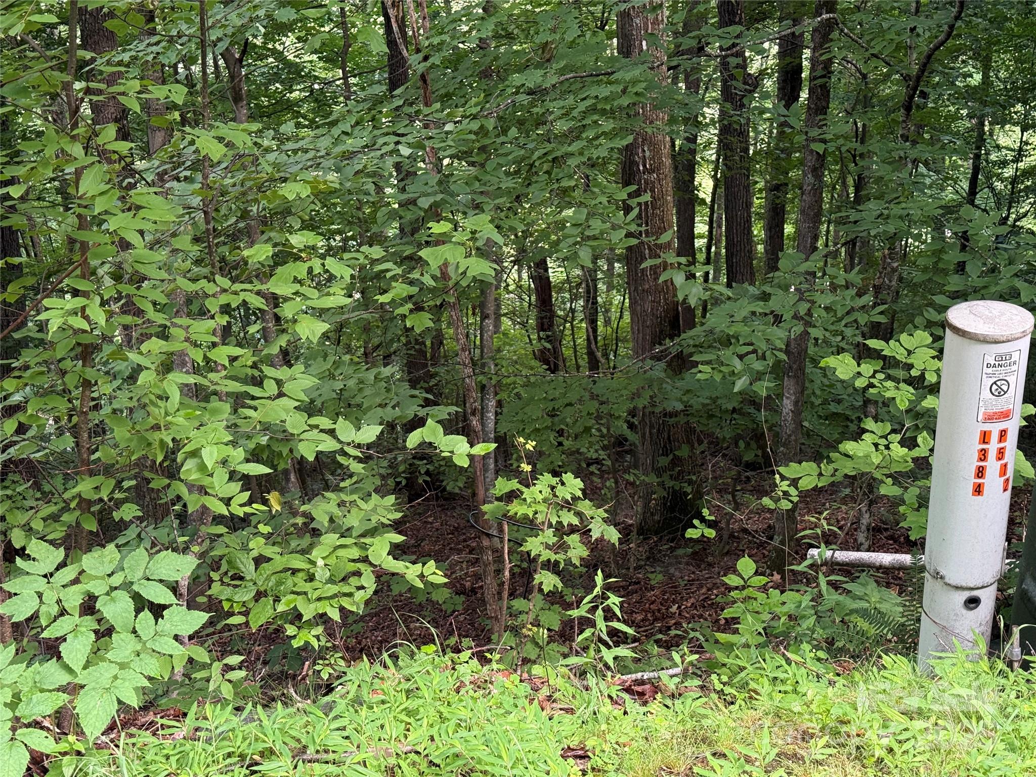 Lot 3 Heritage Ridge Road, Unit 3/4 Burnsville, NC 28714 - Photo 7 of 9 a view of a garden with plants and trees