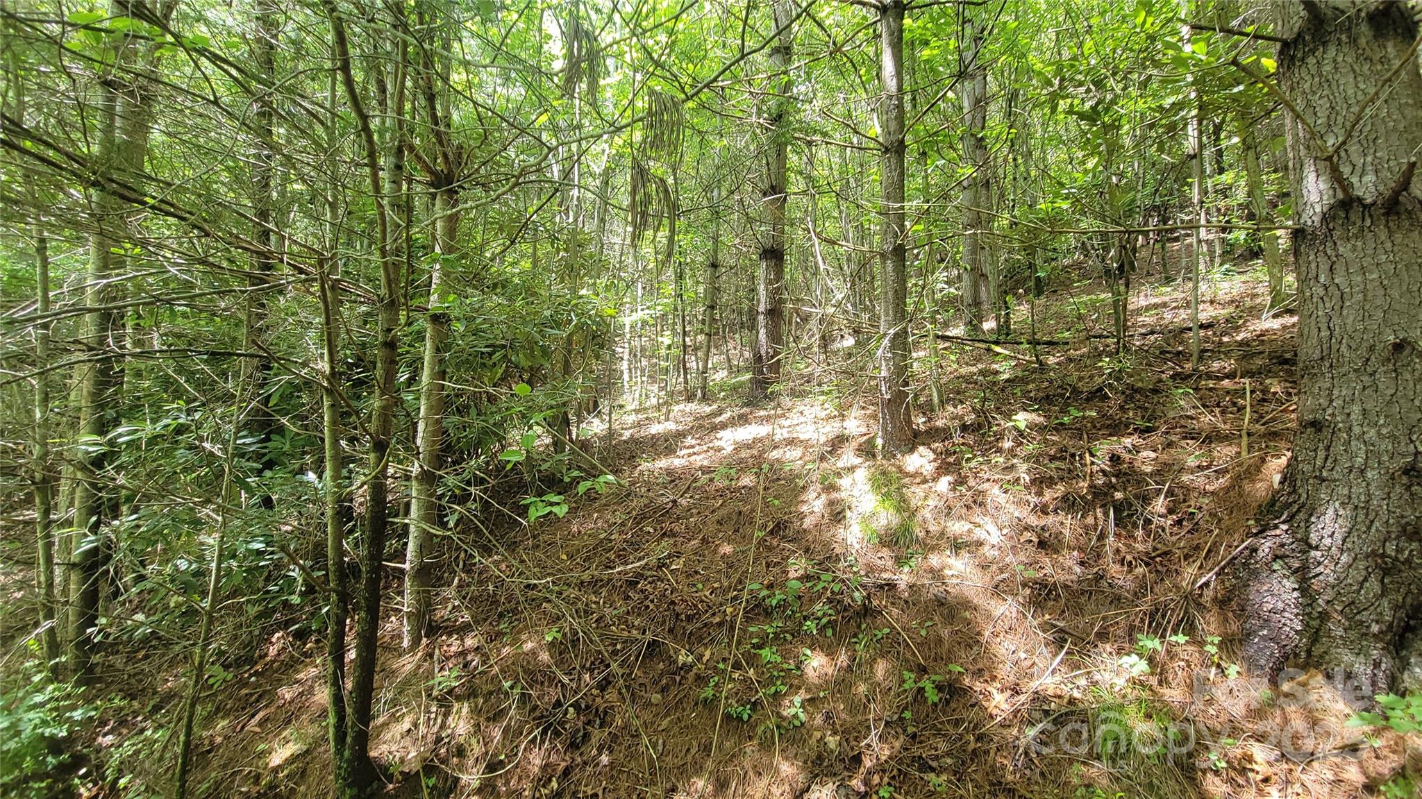 0 Eagle Bridge Road Burnsville, NC 28714 - Photo 11 of 12