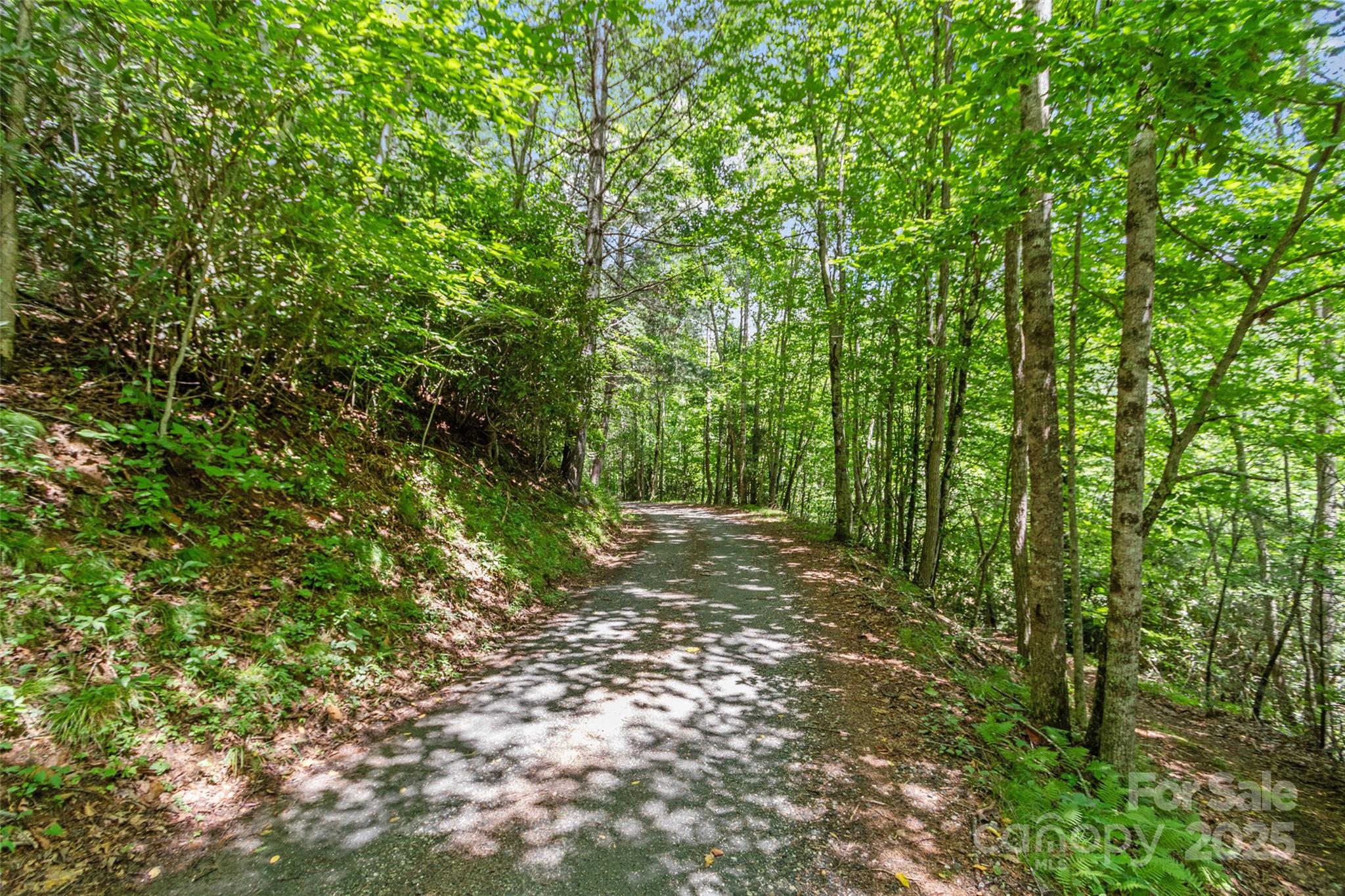 0 Eagle Bridge Road Burnsville, NC 28714 - Photo 5 of 12 a view of a yard with a tree