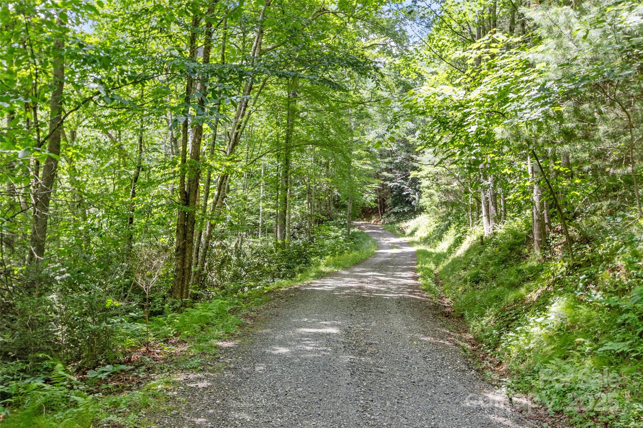 0 Eagle Bridge Road Burnsville, NC 28714 - Photo 6 of 12 a view of outdoor space and trees all around
