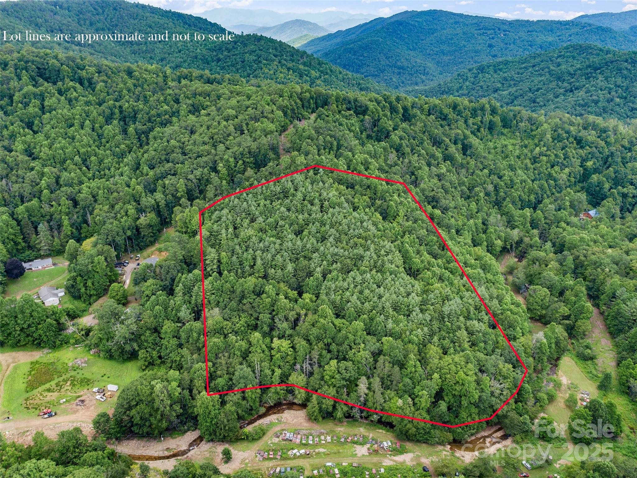0 Eagle Bridge Road Burnsville, NC 28714 - Photo 7 of 12 a view of a lush green forest with lots of trees