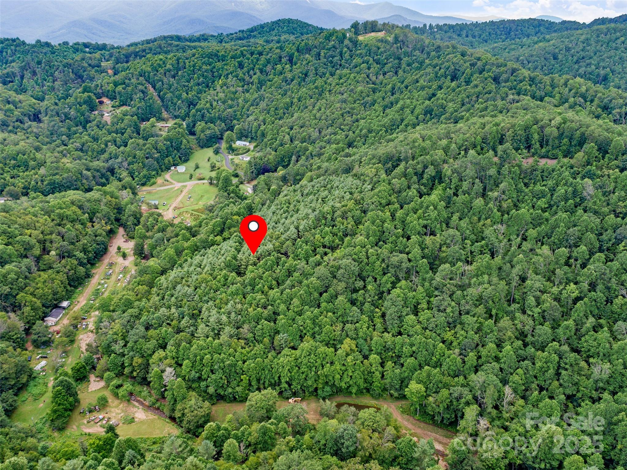 0 Eagle Bridge Road Burnsville, NC 28714 - Photo 8 of 12 a view of a flower in a field