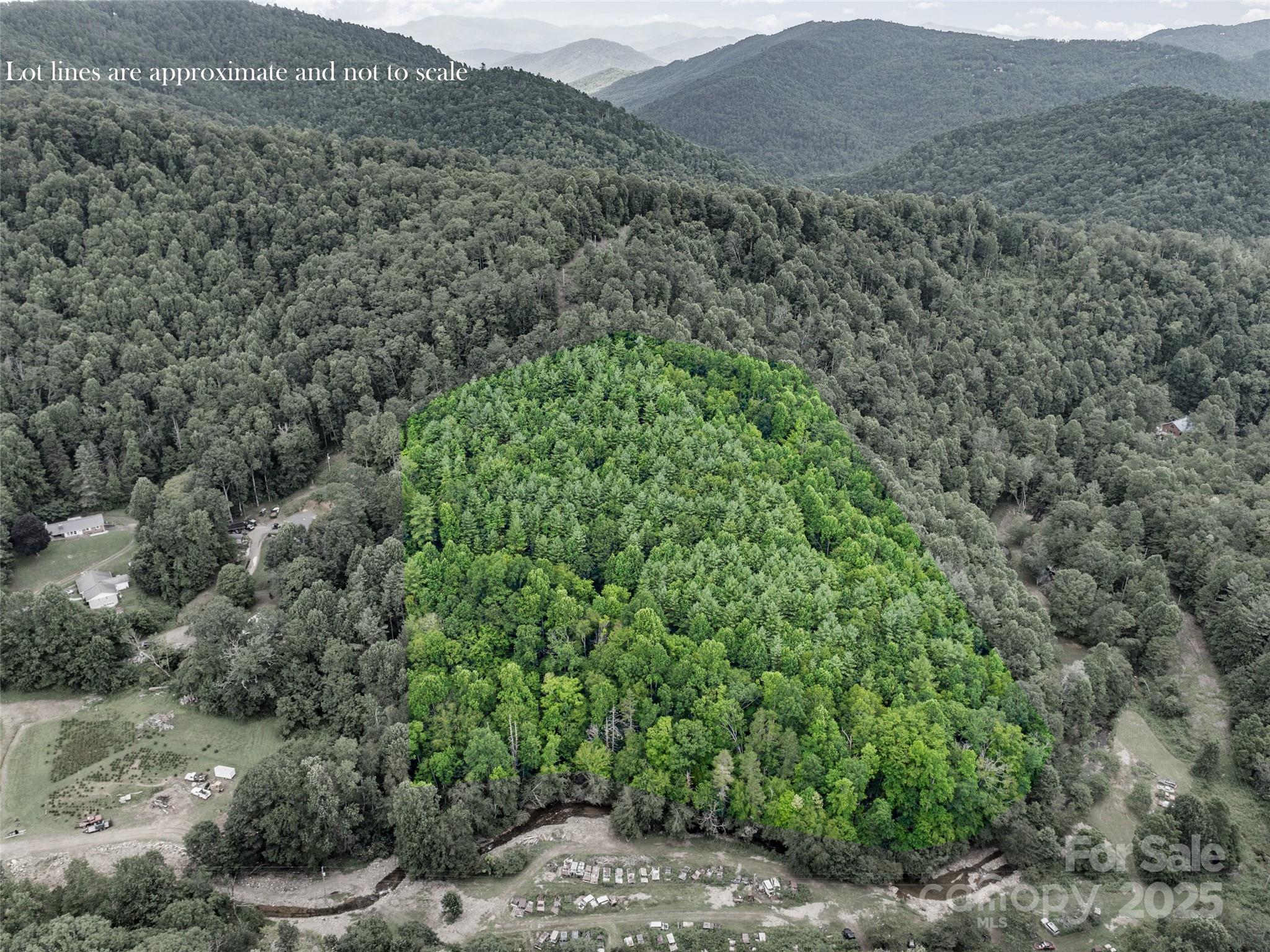 0 Eagle Bridge Road Burnsville, NC 28714 - Photo 10 of 12 a view of a lush green forest with lush green forest