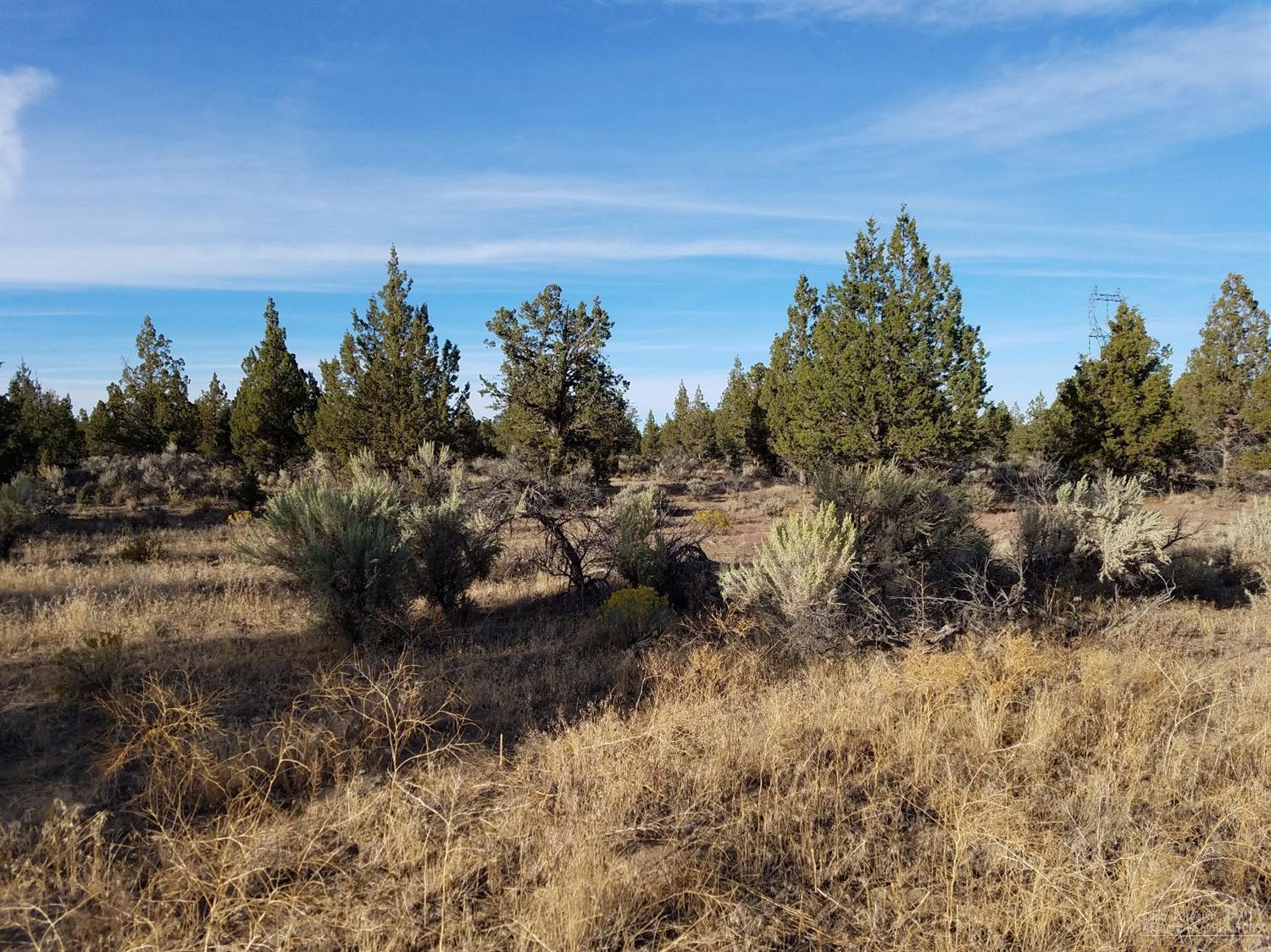 0 Southeast George Millican Road Prineville, OR 97754 - Photo 5 of 12 Additional Photo