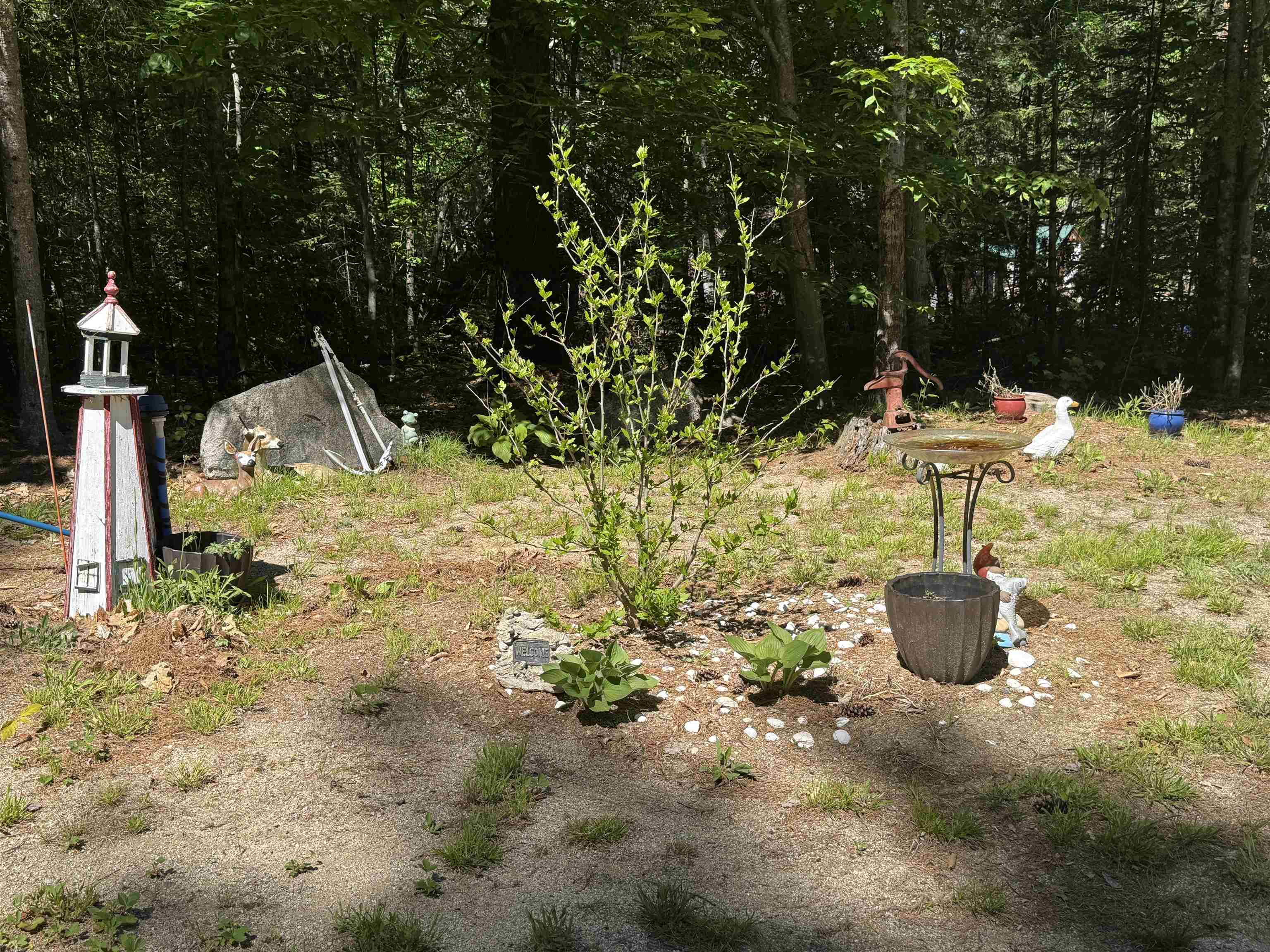 36 Moose Ridge Road Ossipee, NH 03864 - Photo 43 of 58