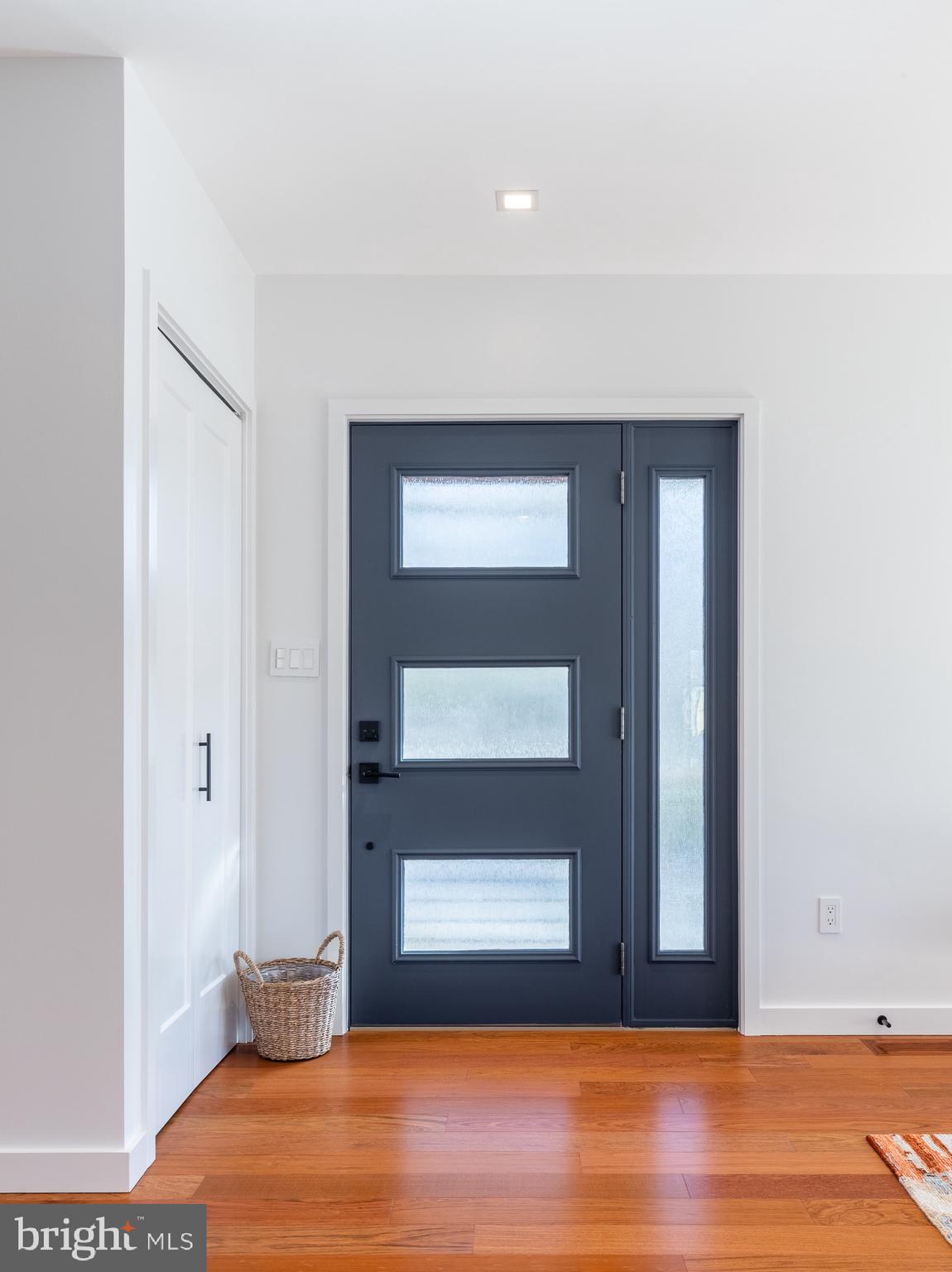 34 Ritchie Avenue Silver Spring, MD 20912 - Photo 16 of 72 Contemporary glass panel front door.