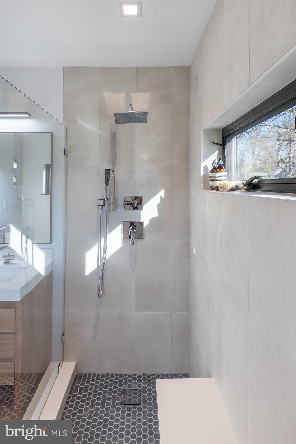 34 Ritchie Avenue Silver Spring, MD 20912 - Photo 26 of 72 Rain head shower