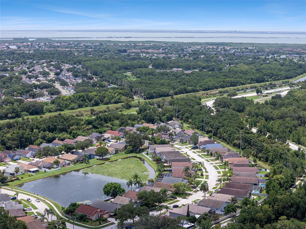 8512 Heyward Road Tampa, FL 33635 - Photo 68 of 73 Gallery Image 68