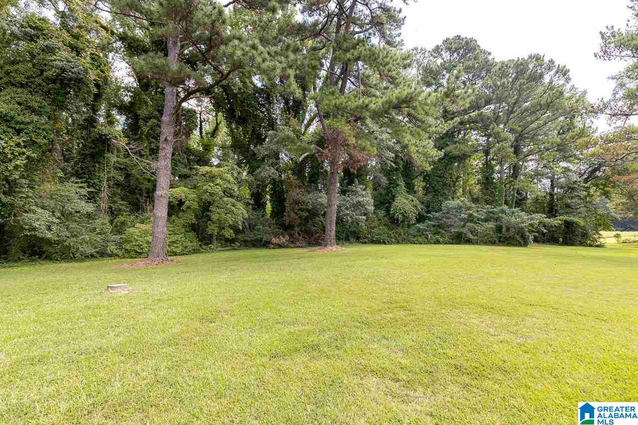 6195 Warrior River Road Bessemer, AL 35023 - Photo 35 of 37