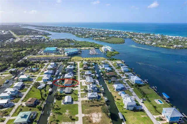 a view of a yard with plants