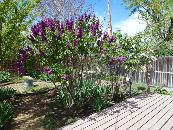 a view of a patio with table and chairs with wooden fence and plants