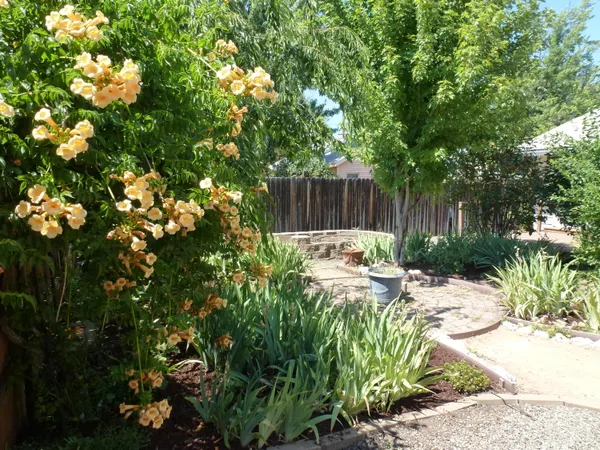 a view of a backyard with plants and wooden fence