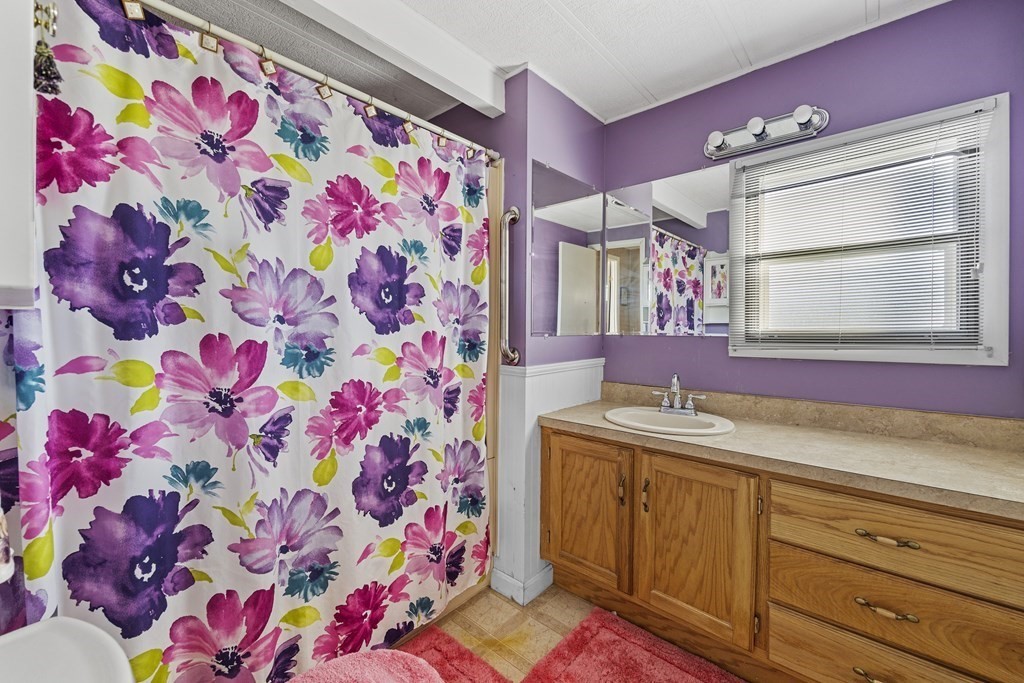 102 Peter Street Raynham, MA 02767 - Photo 14 of 23 a bathroom with a sink a mirror and a shower curtain