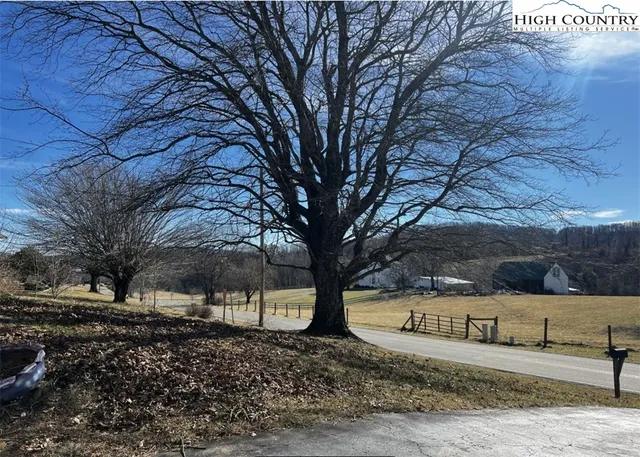 a view of a park that has a tree on the side of the road