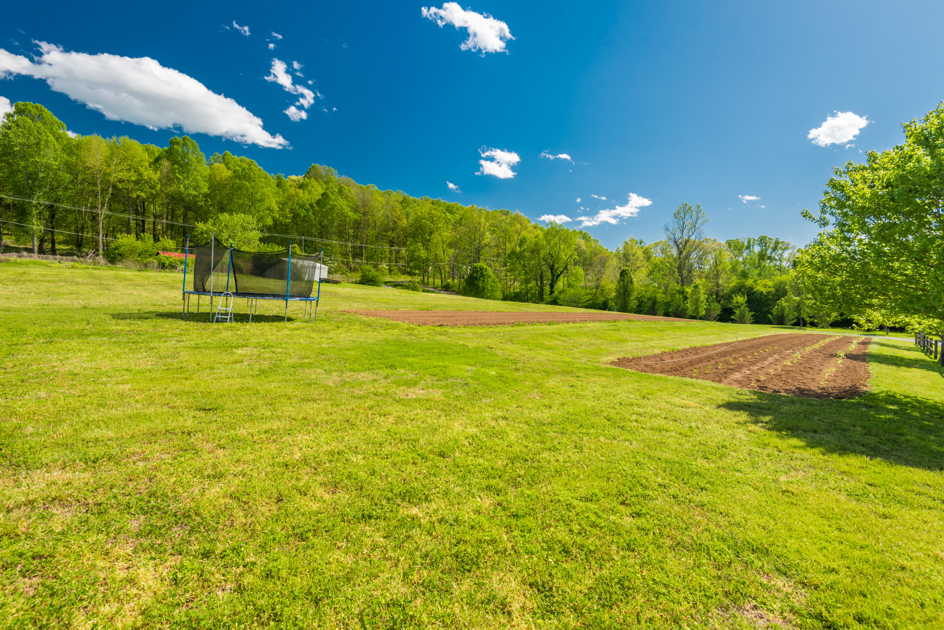 454 Mahoney Road Oliver Springs, TN 37840 - Photo 27 of 29 454MahoneyRd3-12