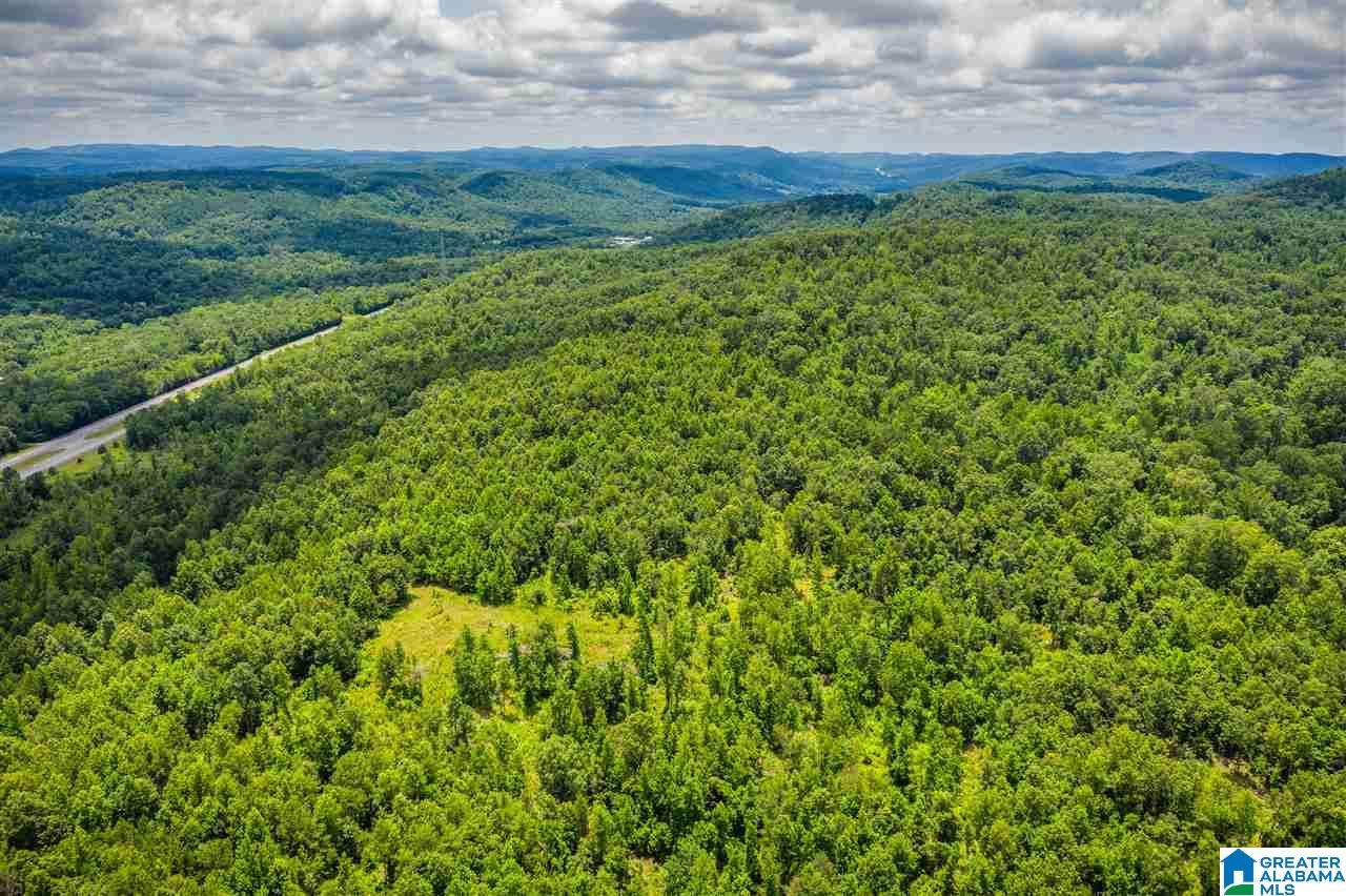 0 Highway 75, Unit 5032 Oneonta, AL 35121 - Photo 16 of 18