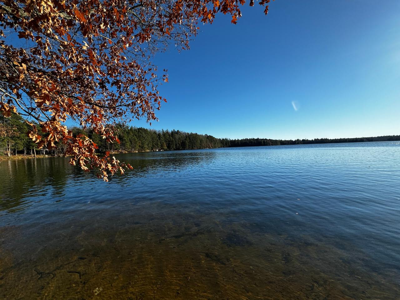 7717 Trout Road Lake Tomahawk, WI 54539 - Photo 11 of 47 Gallery Image 11