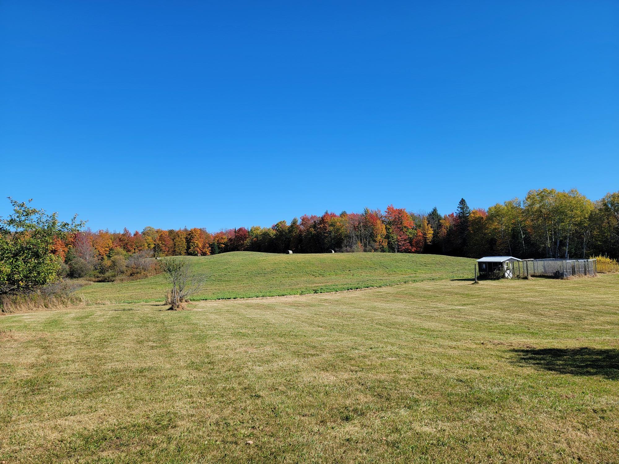 63999 Wolanek Road, Unit 313 ACRES Marengo, WI 54855 - Photo 92 of 93