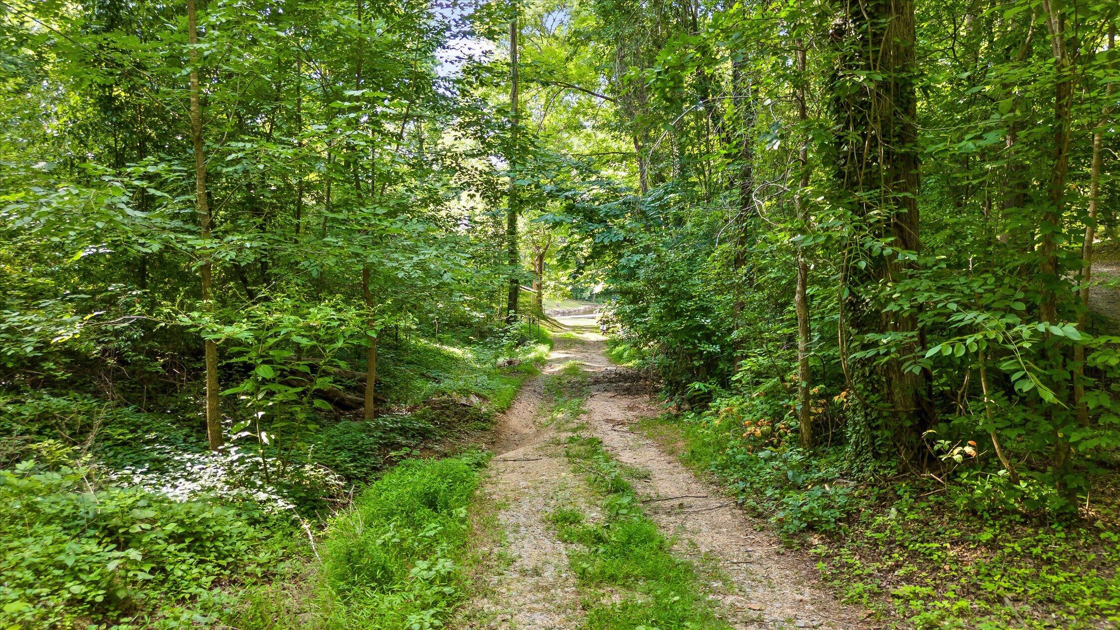 1011 Clift Cave Road Soddy-Daisy, TN 37379 - Photo 86 of 89 36-1011 Clift Cave-96