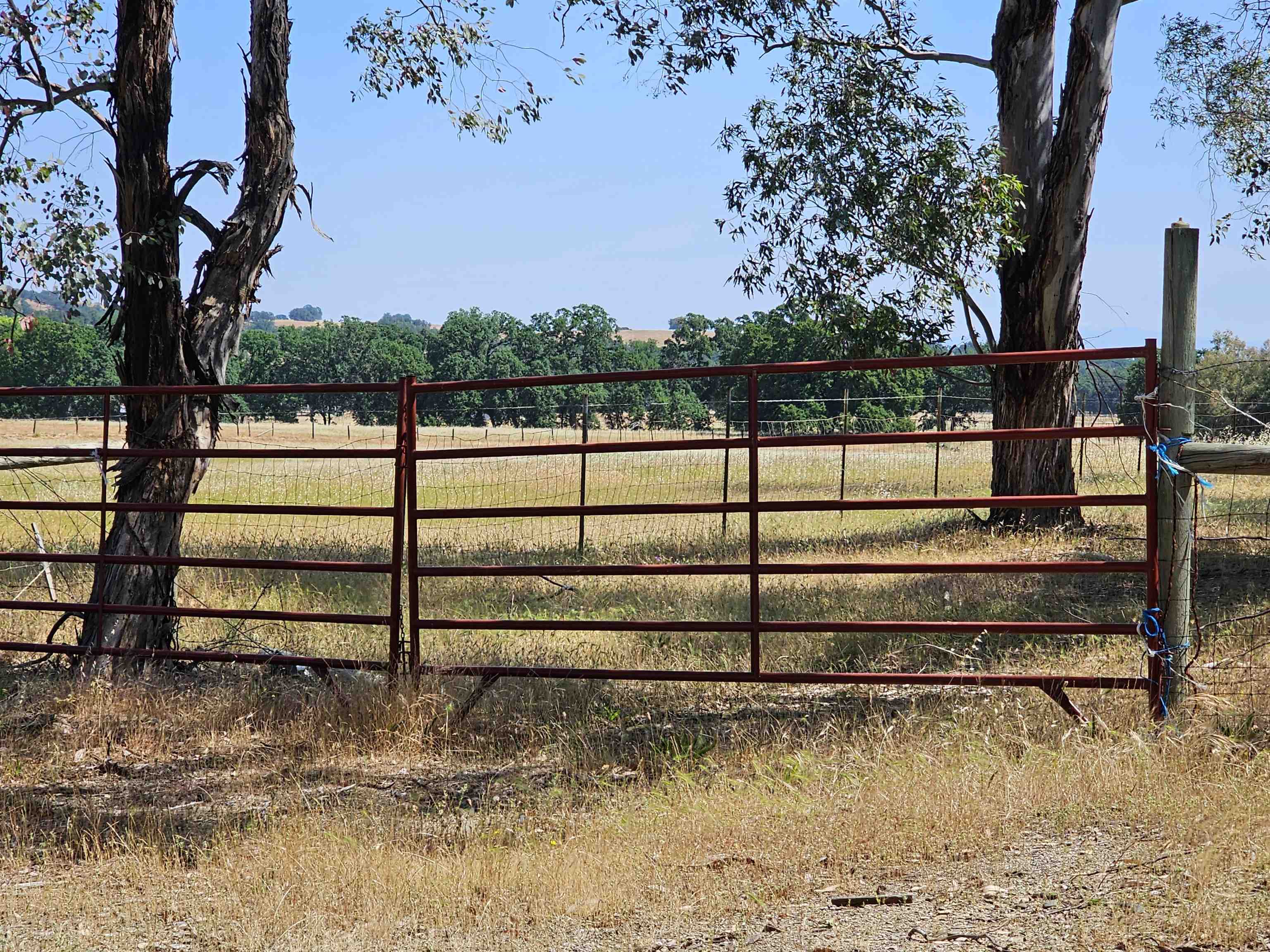 17300 Red Bank Road Red Bluff, CA 96080 - Photo 58 of 67