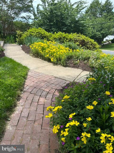 6324 Lenox Road Bethesda, MD 20817 - Photo 32 of 40 Pathway to the side walkway in late spring