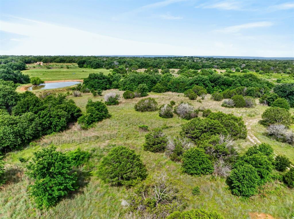 Lot 28 Fairview Road Mineral Wells, TX 76067 - Photo 14 of 16 a view of a green field with lots of bushes