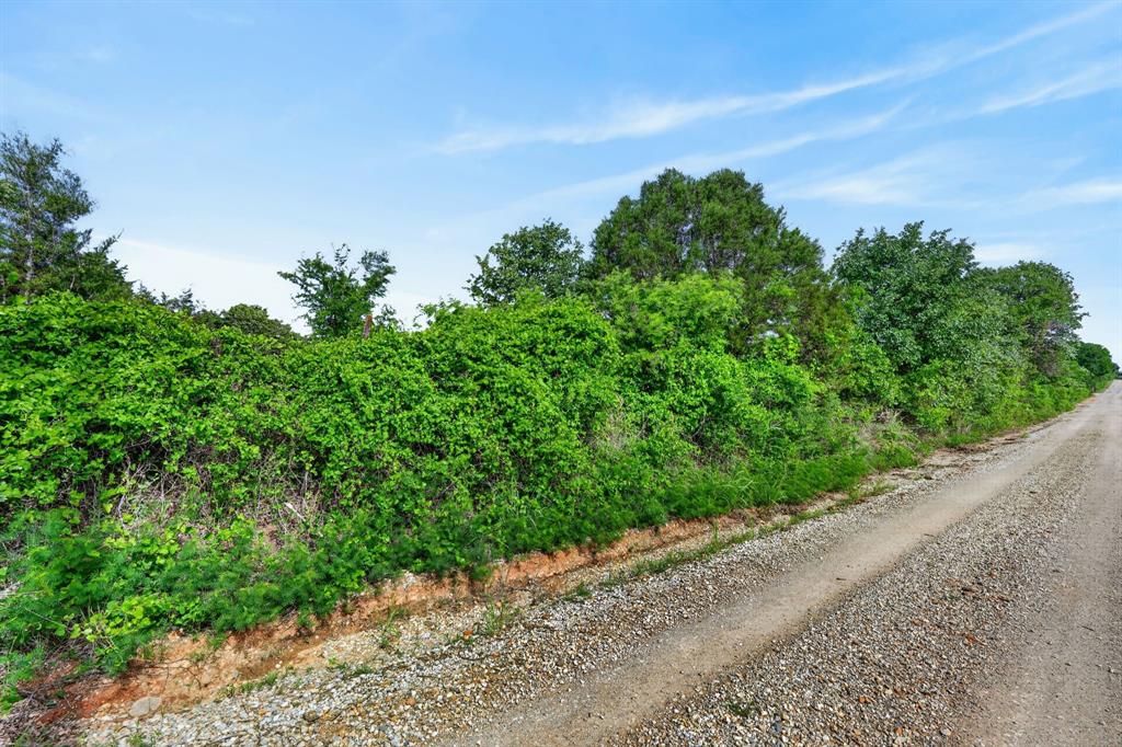 Lot 28 Fairview Road Mineral Wells, TX 76067 - Photo 2 of 16 a view of a garden with plants