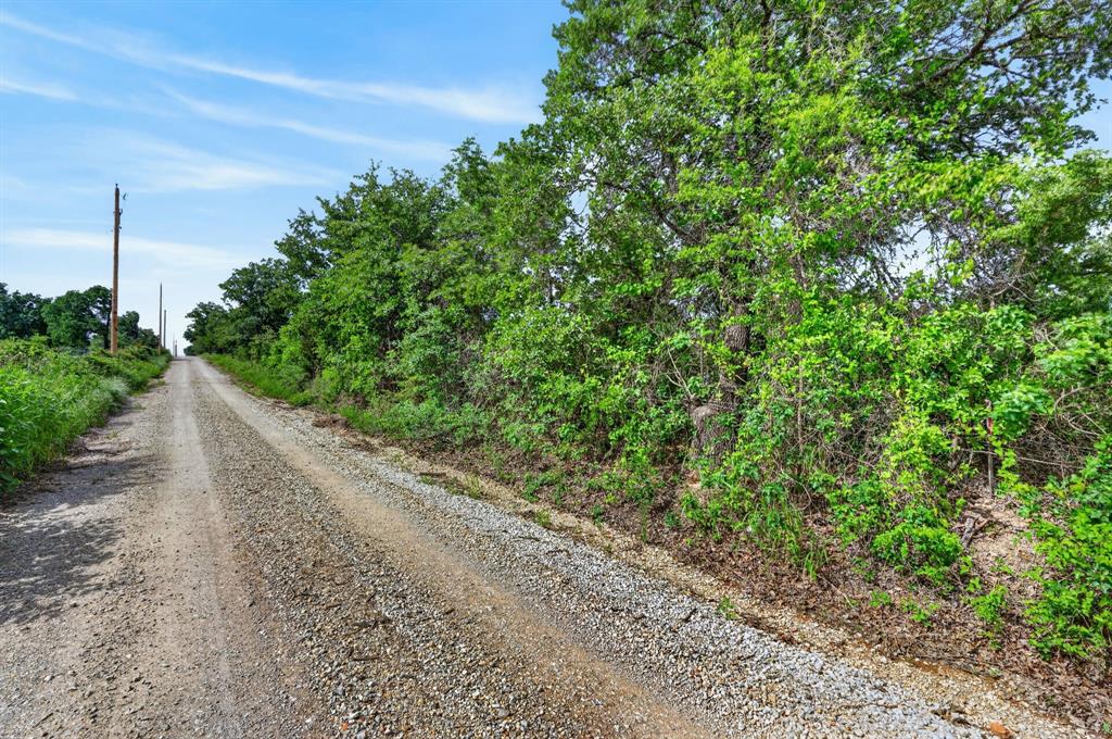 Lot 28 Fairview Road Mineral Wells, TX 76067 - Photo 3 of 16 a view of a garden with plants
