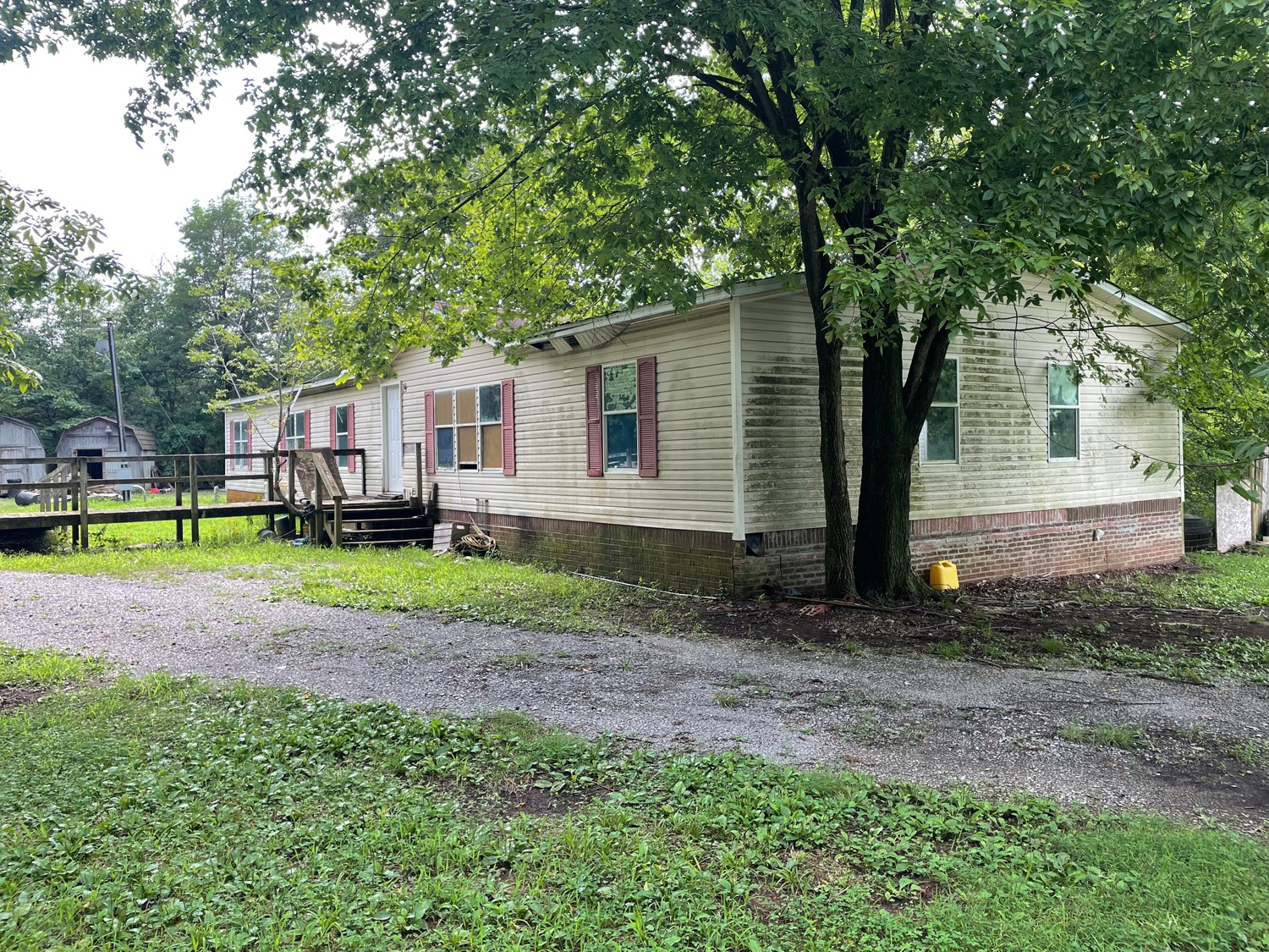 165 Bunker Hill Road Rockvale, TN 37153 - Photo 7 of 8 a view of a house with a backyard and a tree