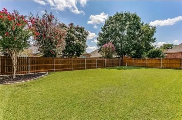 a view of a backyard