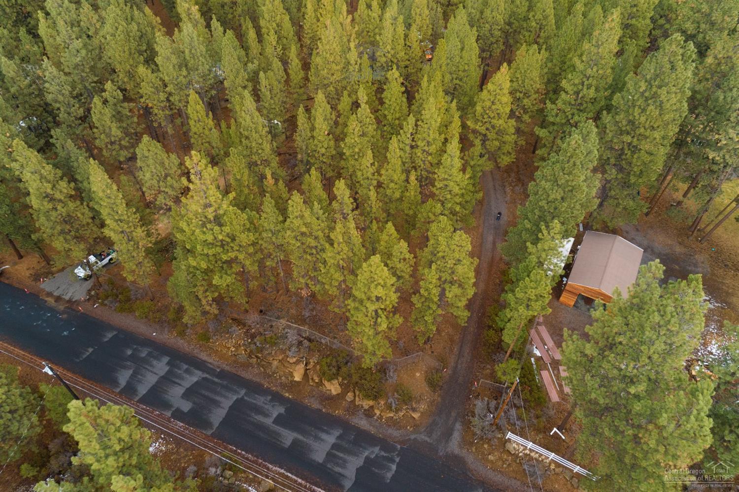 60098 Turquoise Road Bend, OR 97702 - Photo 4 of 12 a picture of a tree