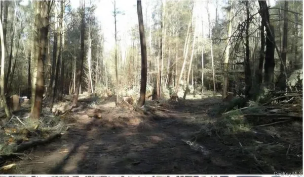$59,000 | 24-12 Parks Road, White Sulphur Springs, NY 12787