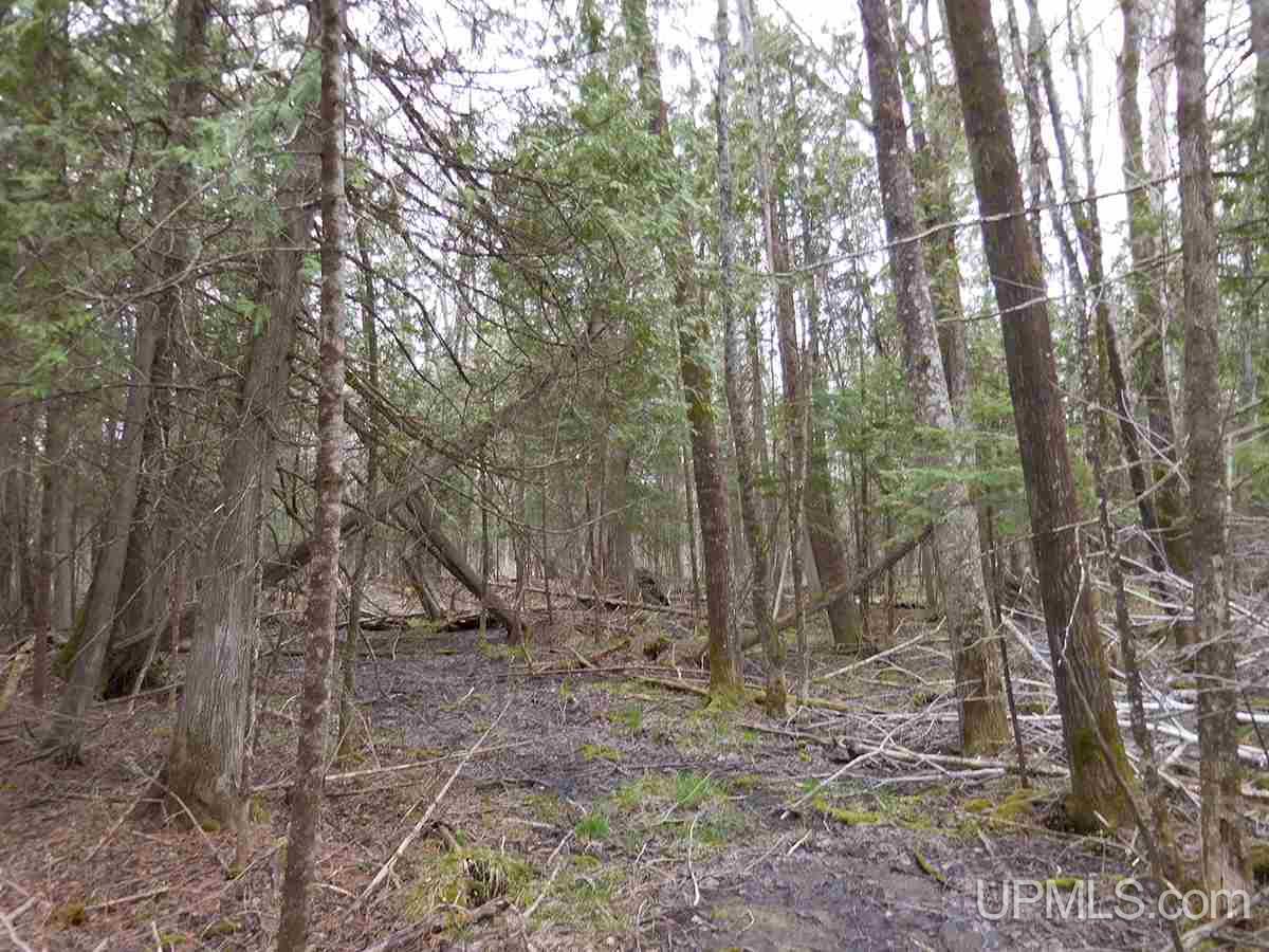 Tbd Kk Road Rapid River, MI 49864 - Photo 6 of 13
