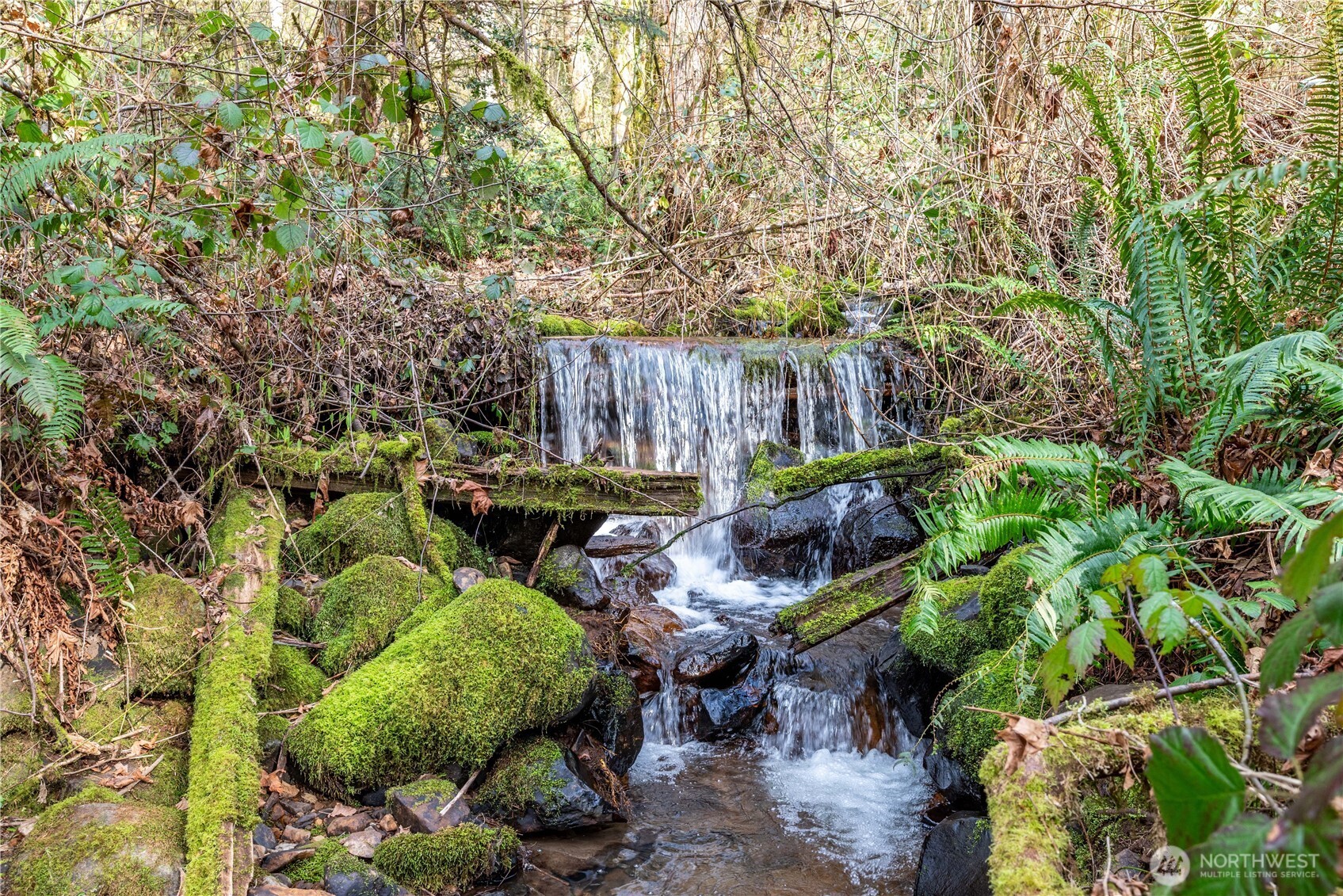 547 Lone Oak Road Longview, WA 98632 - Photo 33 of 40