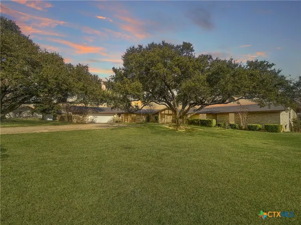 a view of a green field with some trees