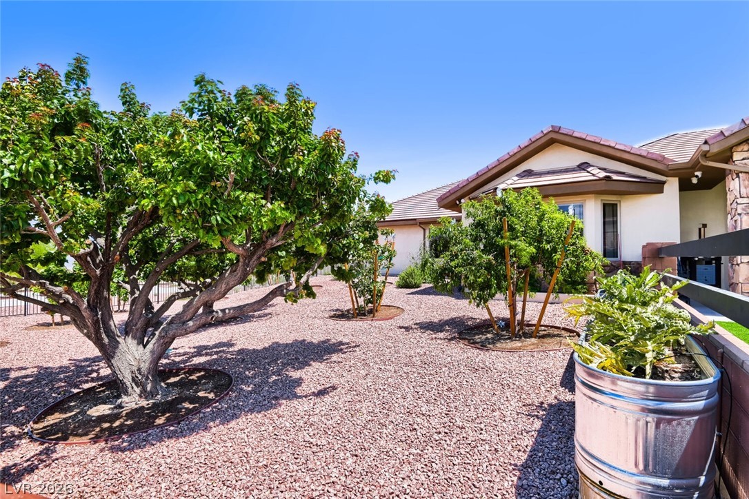 13490 Racel Street Las Vegas, NV 89166 - Photo 75 of 99 Yard