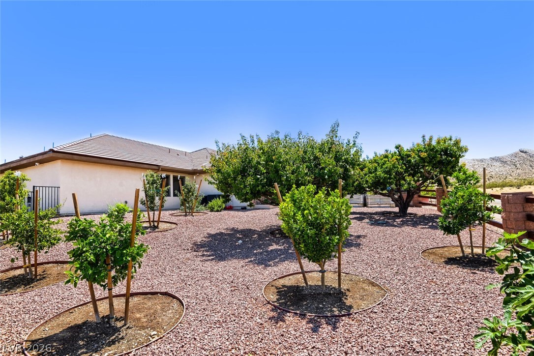 13490 Racel Street Las Vegas, NV 89166 - Photo 86 of 99 Yard