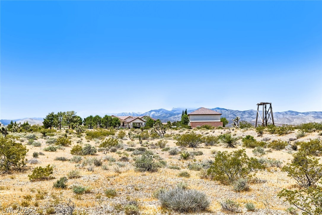 13490 Racel Street Las Vegas, NV 89166 - Photo 89 of 99 Lot